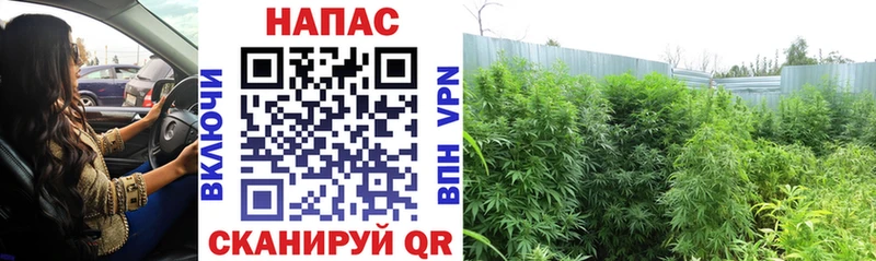 Сколько стоит Нижний Новгород APVP COCAIN МЕТАМФЕТАМИН ГАШ МЕФ