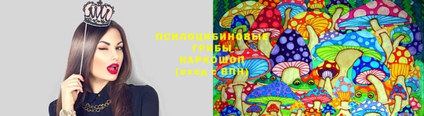 тгк Алексин