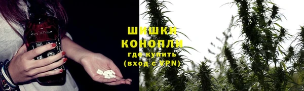 эйфоретик Аркадак