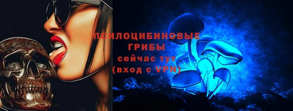 эйфоретик Аркадак