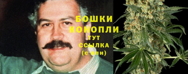 прущие грибы Армянск