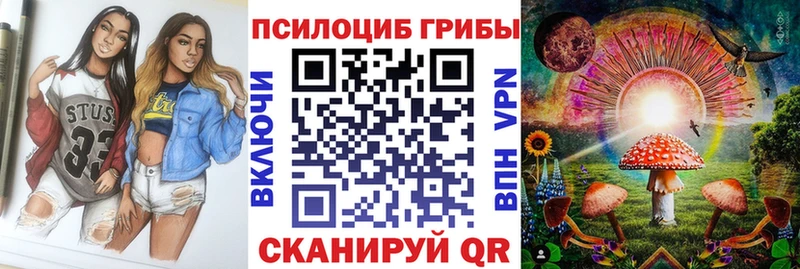 дарнет шоп  Нижний Новгород  Галлюциногенные грибы MAGIC MUSHROOMS 